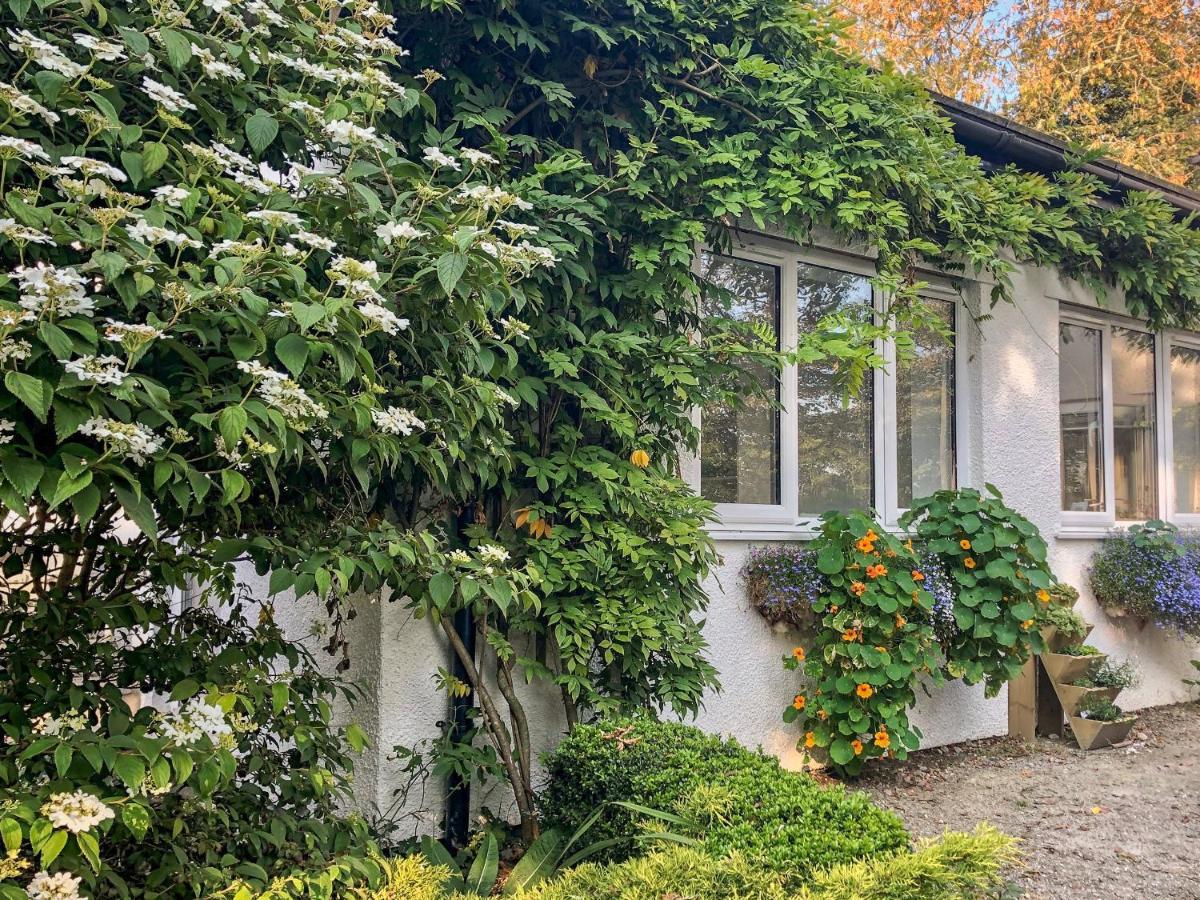 Primrose End Villa Bude Dış mekan fotoğraf