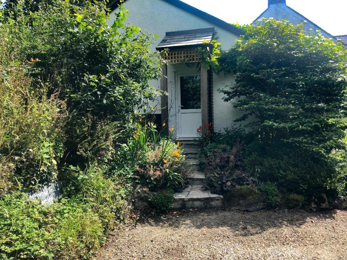 Primrose End Villa Bude Dış mekan fotoğraf